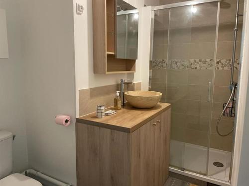 une salle de bain avec un lavabo et une douche dans l'établissement Charmant T2 avec Jardin, à Paris
