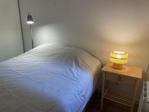une chambre avec un lit et une table avec une lampe dans l'établissement Charmant T2 avec Jardin, à Paris
