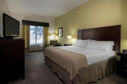 pokój hotelowy z dużym łóżkiem i telewizorem z płaskim ekranem w obiekcie Holiday Inn Express Conway, an IHG Hotel w mieście Conway