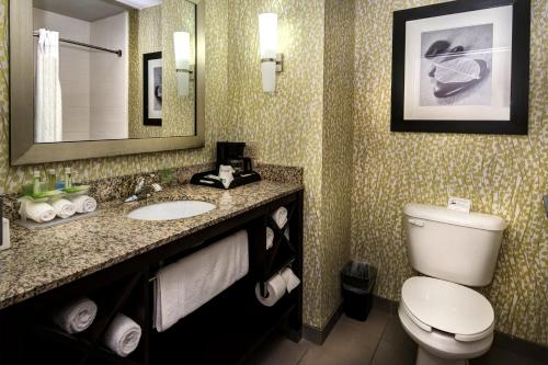 a bathroom with a toilet and a sink and a mirror at Holiday Inn Express Conway by IHG in Conway