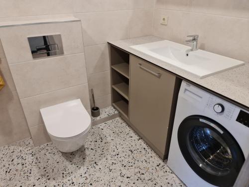 a bathroom with a washing machine and a sink at Studio apartamentas su balkonu in Vilnius