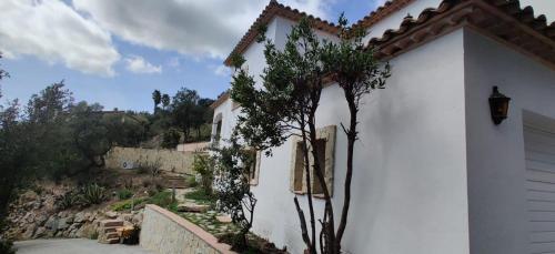 a white house with a tree in front of it at Villa Mas Nou in Castillo de Aro