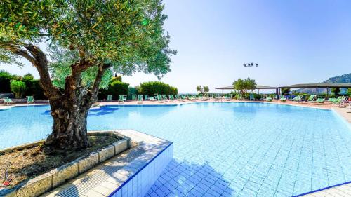 une grande piscine avec un arbre au milieu dans l'établissement Villaggio Porto Rhoca, à Squillace