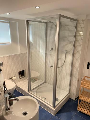 La salle de bains est pourvue d'une douche et d'un lavabo. dans l'établissement Apartmenthaus Thommen, à Nuremberg