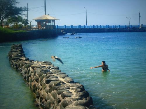 a man playing with a dog in the water at Casa Playa Los Marinos in Puerto Baquerizo Moreno