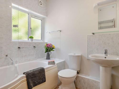 uma casa de banho branca com um WC e um lavatório em 2 Bed in Ashbourne 85571 em Ashbourne
