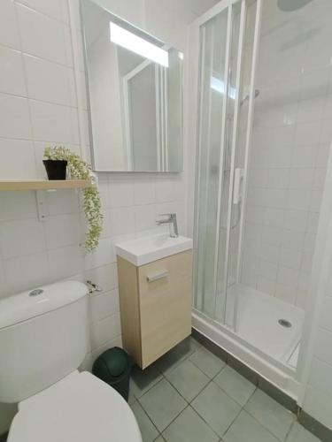 une salle de bain blanche avec toilettes et douche dans l'établissement Studio Vue Mer - Plage de TRESTRAOU, à Perros-Guirec