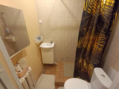 ein Bad mit einem WC und einem Waschbecken in der Unterkunft Rahu34 in Jõhvi