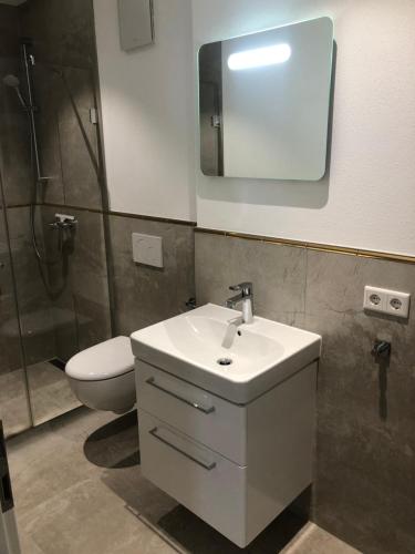 因戈爾施塔特的住宿－Baumann Suiten，一间带水槽、卫生间和镜子的浴室