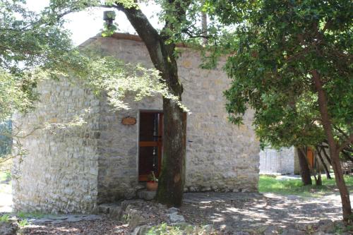 a small stone house with a tree in front of it at Casa nel bosco sul Golfo dei Poeti - Mago in Monte Marcello