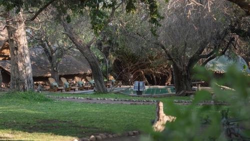 a park with benches and a pool and trees at Mashatu Lodge in Lentswelemoriti
