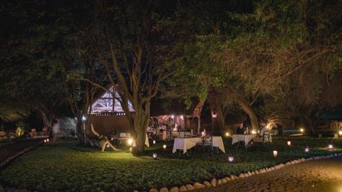a park at night with a table set up with lights at Mashatu Lodge in Lentswelemoriti