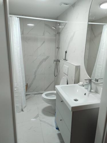 uma casa de banho com um chuveiro, um lavatório e um WC. em Apartment near Parndorf 