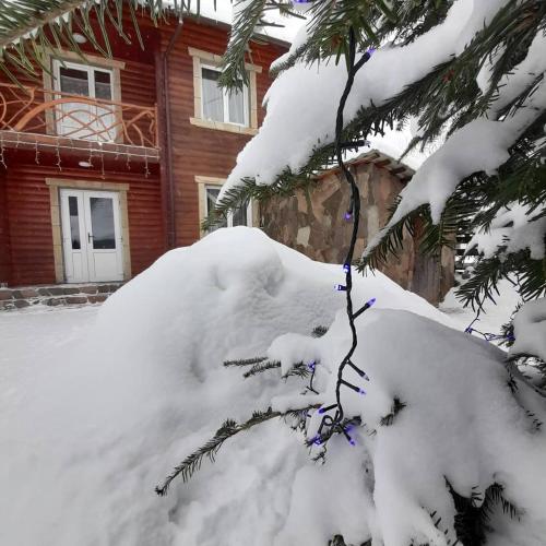 a tree branch covered in snow in front of a house at Cottage Zhelikhovskykh in Tatariv