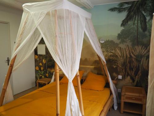 une chambre avec un lit avec moustiquaire dans l'établissement CHAMBRES DE L'ORATOIRE-climatisées, Impasse calme, lumineuse, centre ville, Pézenas, à Pézenas