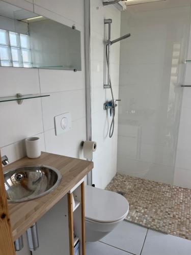 une salle de bain avec un lavabo, des toilettes et une douche dans l'établissement Helles freundliche Ferienhaus für Naturisten FKK auf Korsika, à Linguizzetta