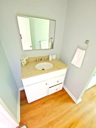 ein Bad mit einem Waschbecken und einem Spiegel in der Unterkunft 1BR Nest in Grass Valley, CA in Grass Valley