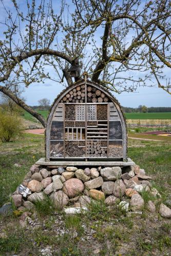 a bird cage sitting on a pile of rocks at Ferienwohnungen - barrierefrei - im sanierten Gutshof in Lalendorf