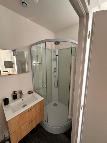a bathroom with a shower and a sink at Appart cocooning in Saint-Germain-des-Fossés
