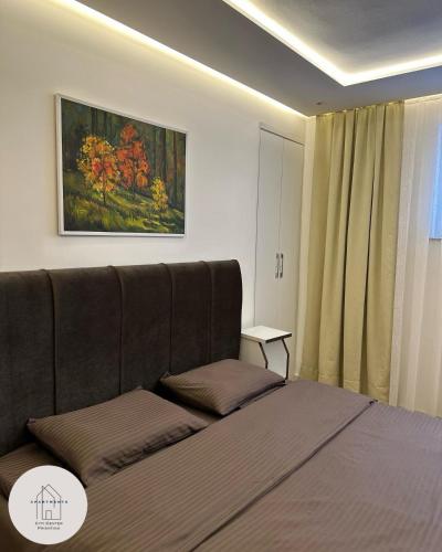 een slaapkamer met een bed en een schilderij aan de muur bij Prishtina Center Apartment 3 in Pristina