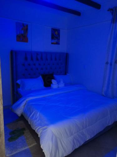 - une chambre bleue avec un grand lit bleu clair dans l'établissement SIFRA HOMES, à Nairobi