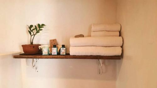 a shelf with towels and a plant on a wall at Maliblues Bed & Art Gallery in Chumphon