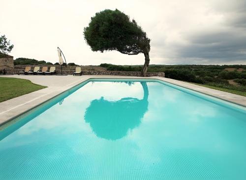 a large blue swimming pool with a tree in the background at Heretat de Sant joan in Ferreries