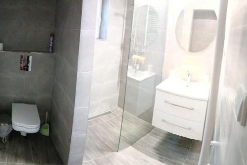 La salle de bains est pourvue d'une douche, de toilettes et d'un lavabo. dans l'établissement Apartmá Adam, à Rokytnice nad Jizerou