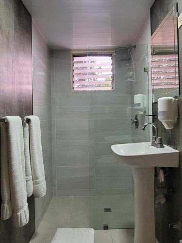 a bathroom with a sink and a glass shower at Hotel Olimpo in La Romana