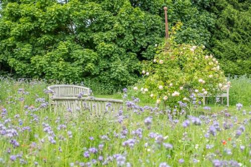 a bench in the middle of a field of flowers at Hill Farm Massingham in Little Massingham