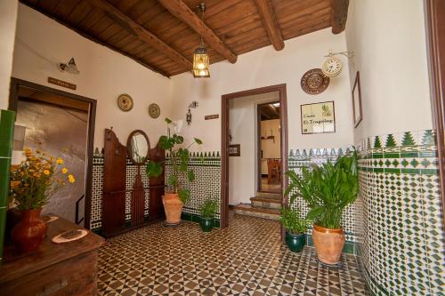 un pasillo con macetas en una casa en Tragaluz II, en Fuenteheridos