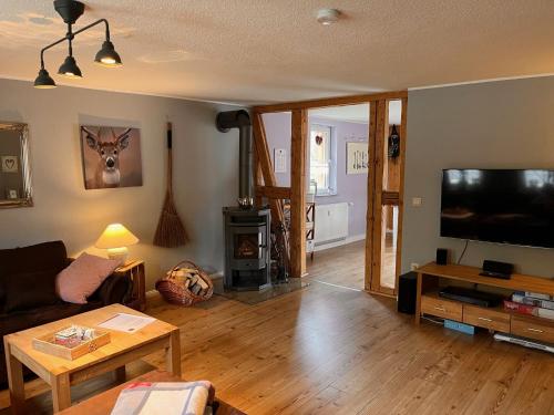 a living room with a couch and a flat screen tv at Ferienwohnung Hexenstube 2 in Tanne