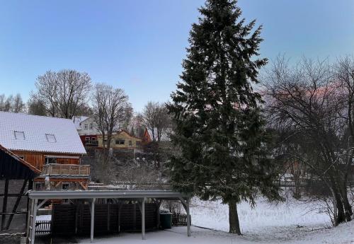 a pine tree in the snow next to a house at Ferienwohnung Hexenstube 2 in Tanne