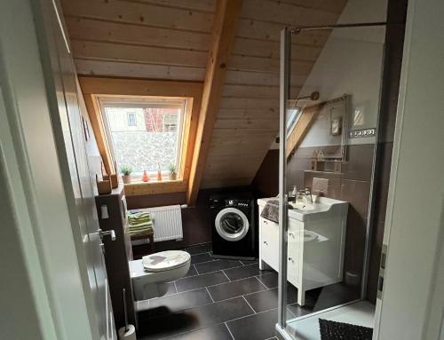 La salle de bains est pourvue de toilettes, d'un lavabo et d'un lave-linge. dans l'établissement Ferienwohnung Hexenstube 1, à Tanne