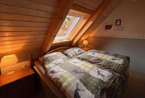 ein Schlafzimmer mit einem Bett und einem Fenster in einem Zimmer in der Unterkunft Ferienwohnung Hexenstube 1 in Tanne