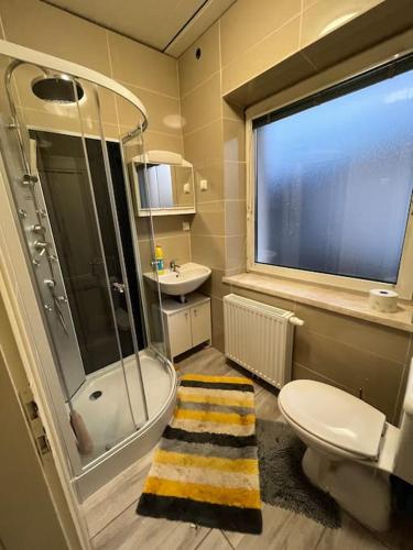 ein Bad mit einer Dusche, einem WC und einem Waschbecken in der Unterkunft Wohlfühloase Leoben in Leitendorf