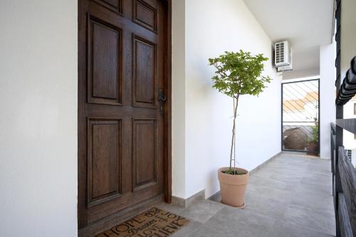 a wooden door with a potted tree in a hallway at Luxury Apartment Flora, Stari Grad, Hvar Island in Stari Grad