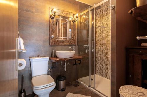 a bathroom with a toilet and a sink and a shower at Luxury Apartment Flora, Stari Grad, Hvar Island in Stari Grad
