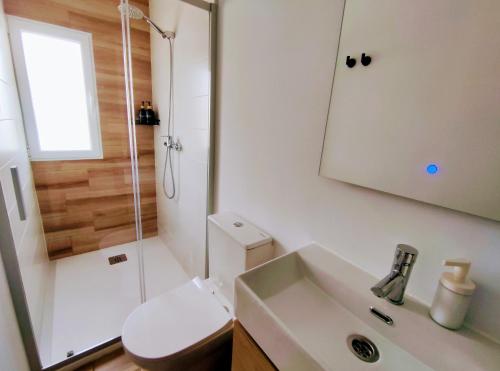 a bathroom with a toilet and a sink and a shower at Habitaciones Santiago in Puerto de Sagunto