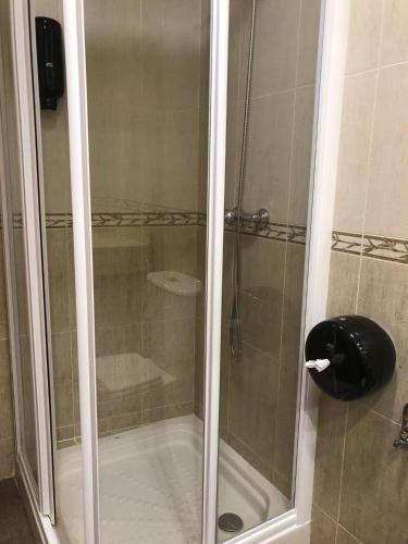 a shower with a glass door in a bathroom at EL RINCON DE TOÑO in Pomar