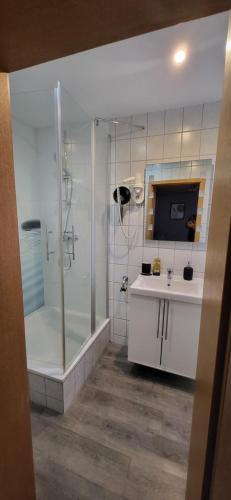 ein Bad mit einer Dusche und einem Waschbecken in der Unterkunft Hotel Bartenwetzer vormals Ellenberger in Melsungen