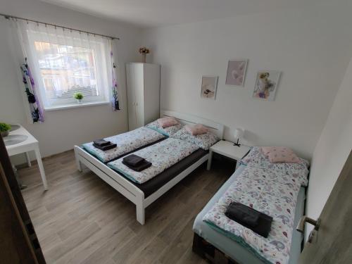 弗爾赫拉比的住宿－Apartmán Anamo，一间卧室设有两张床和窗户。