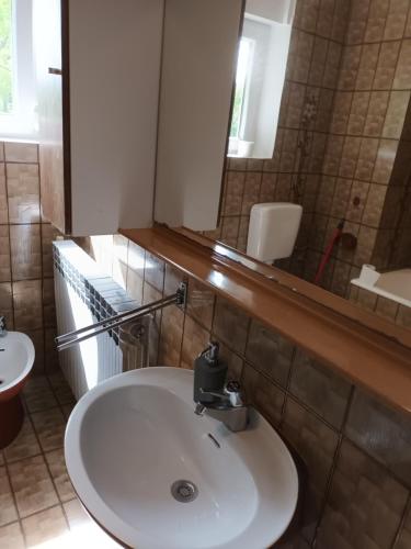 bagno con lavandino bianco e specchio di Vila Bozica a Jadranovo