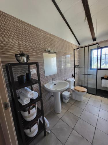 a bathroom with a sink and a toilet at CASA RURAL LA CHOZA DE MINDO in Granada
