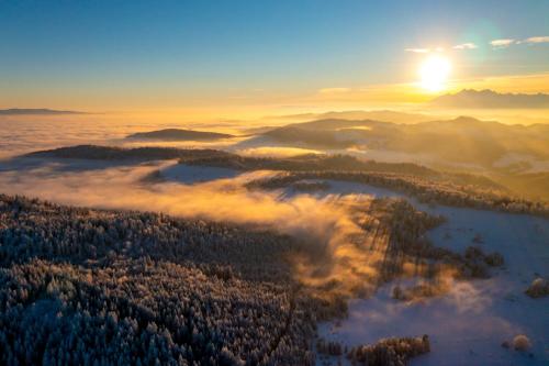 an aerial view of a forest in the sunset at Domki Piwniczna in Piwniczna
