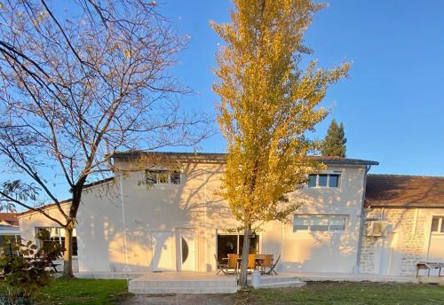 une maison blanche avec un arbre en face dans l'établissement Maison 2 piscines int/ext, spa, à Gueugnon