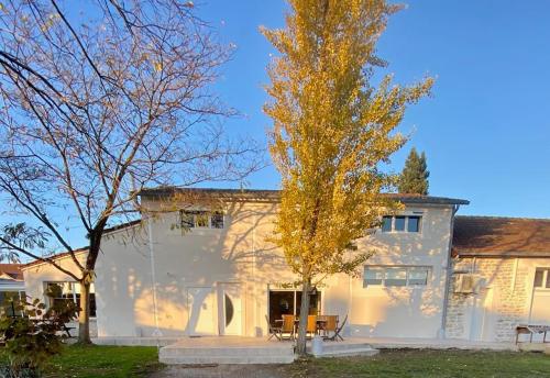 a white house with a tree in front of it at Maison 2 piscines int/ext, spa in Gueugnon