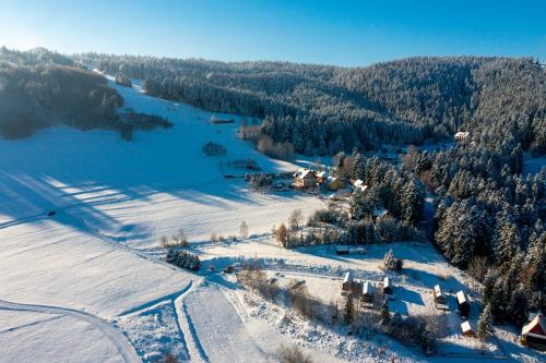 an aerial view of a ski resort in the snow at Domki Piwniczna in Piwniczna