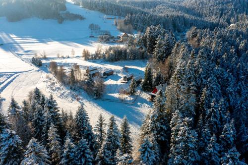 an aerial view of a ski slope with snow covered trees at Domki Piwniczna in Piwniczna