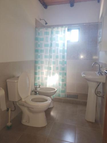 a bathroom with a toilet and a sink at El Caburé in Concepción del Uruguay